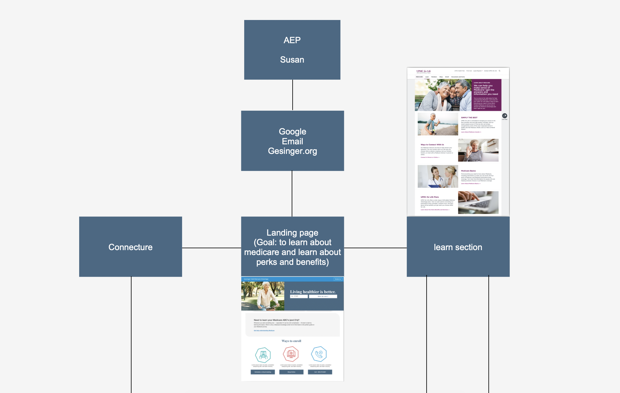 User journey map for Susan, an Annual Enrollment Period shopper, showing entry through Google, email, geisinger.org, landing page, Learn section, and Connecture